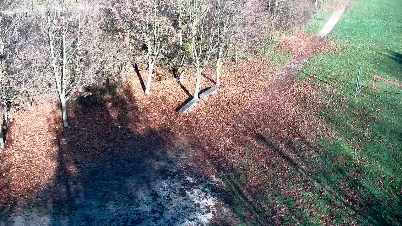 Webcam Ribnik Vrbje – Žalec