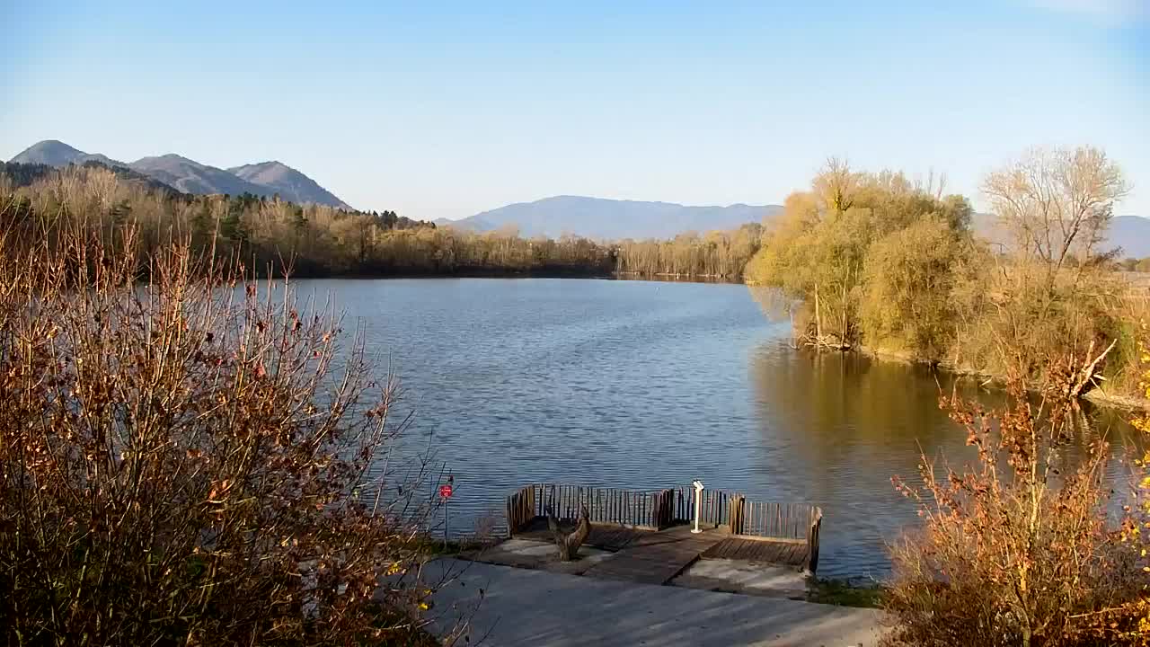 Webcam Ribnik Vrbje – Žalec