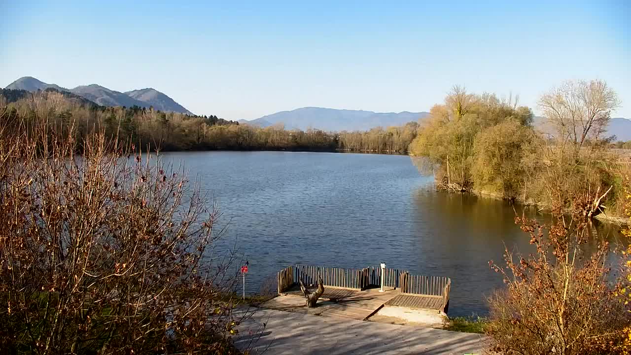 Webcam Ribnik Vrbje – Žalec