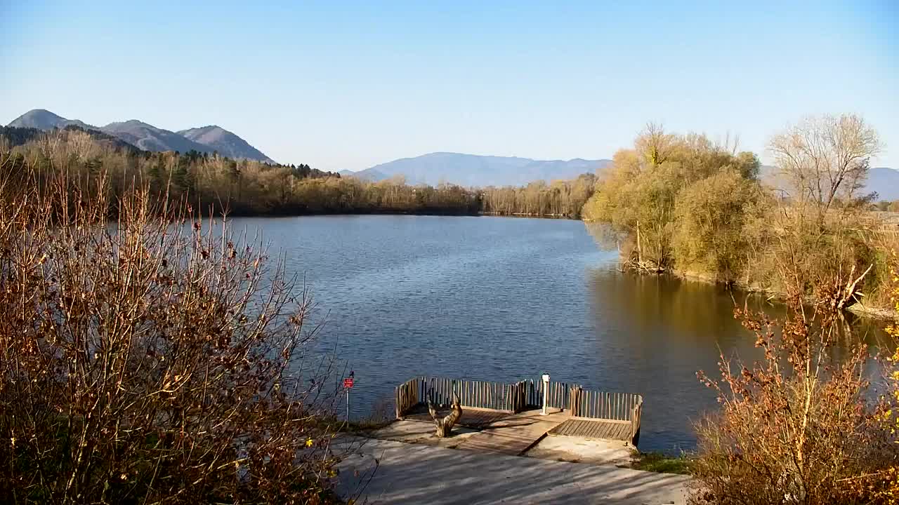 Web kamera Ribnik Vrbje – Žalec