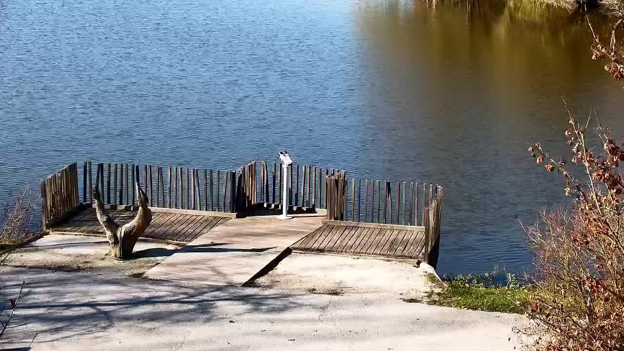 Webcam Ribnik Vrbje – Žalec