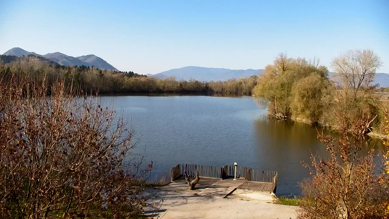 Webcam Ribnik Vrbje – Žalec