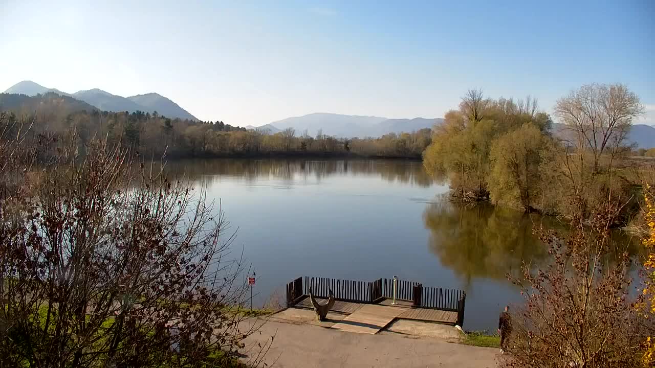 Web kamera Ribnik Vrbje – Žalec