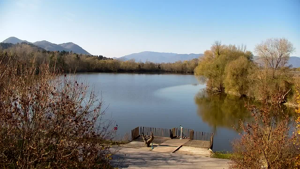 Webcam Ribnik Vrbje – Žalec