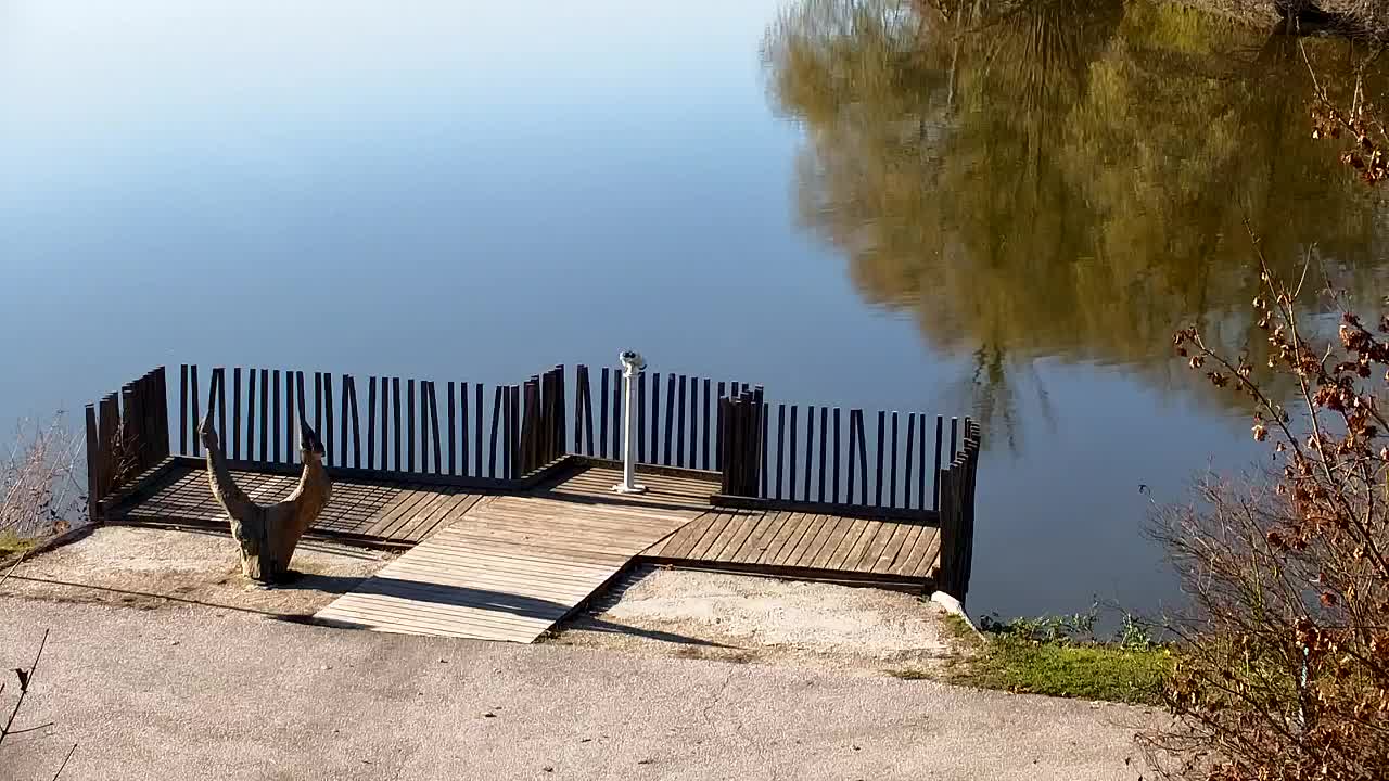 Webcam Ribnik Vrbje – Žalec