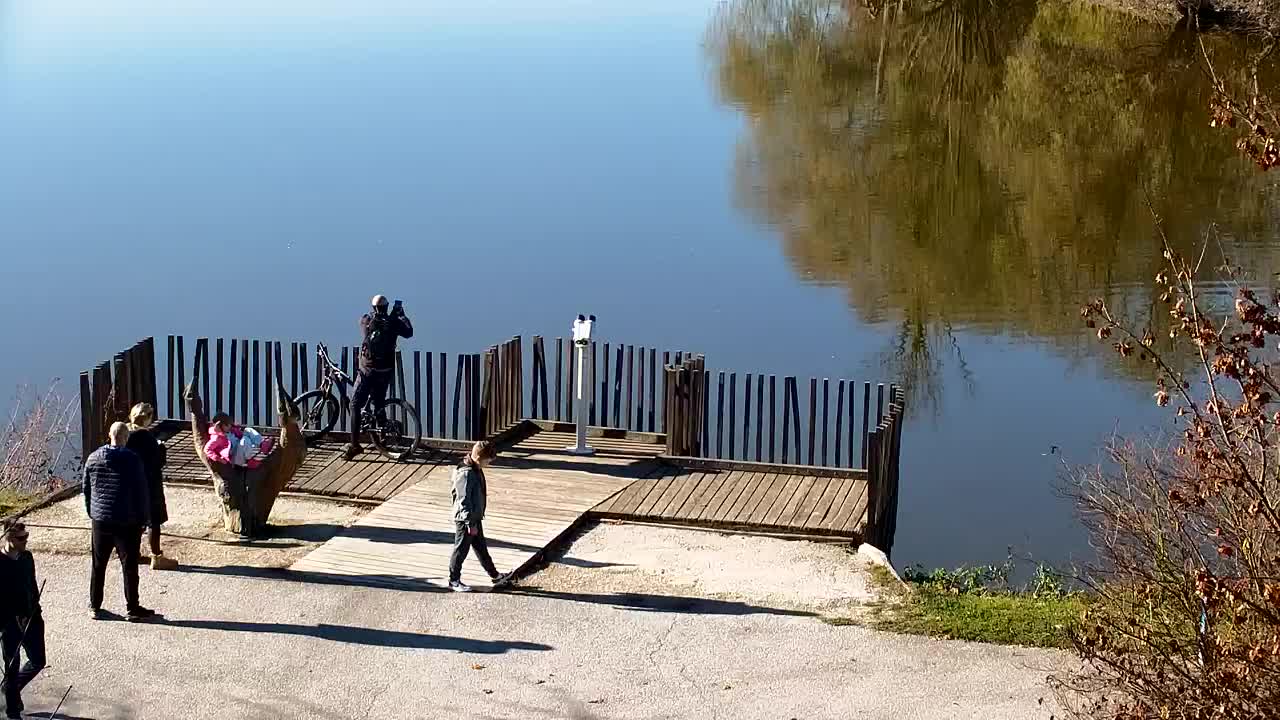 Spletna kamera Ribnik Vrbje – Žalec