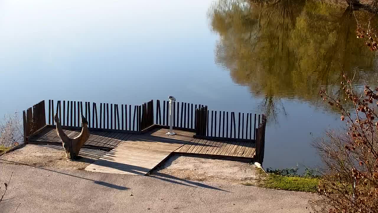 Webcam Ribnik Vrbje – Žalec