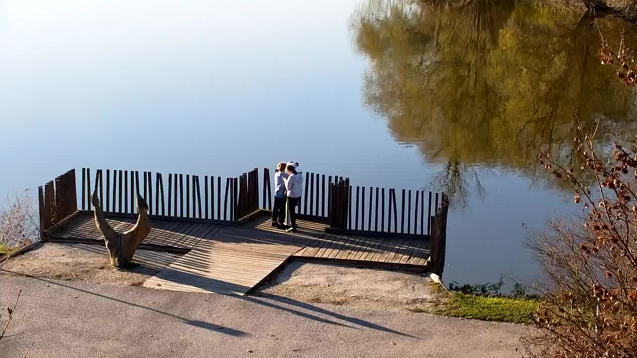 Webcam Ribnik Vrbje – Žalec