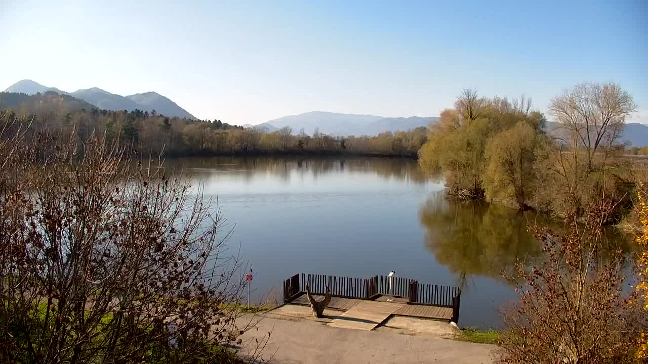 Webcam Ribnik Vrbje – Žalec