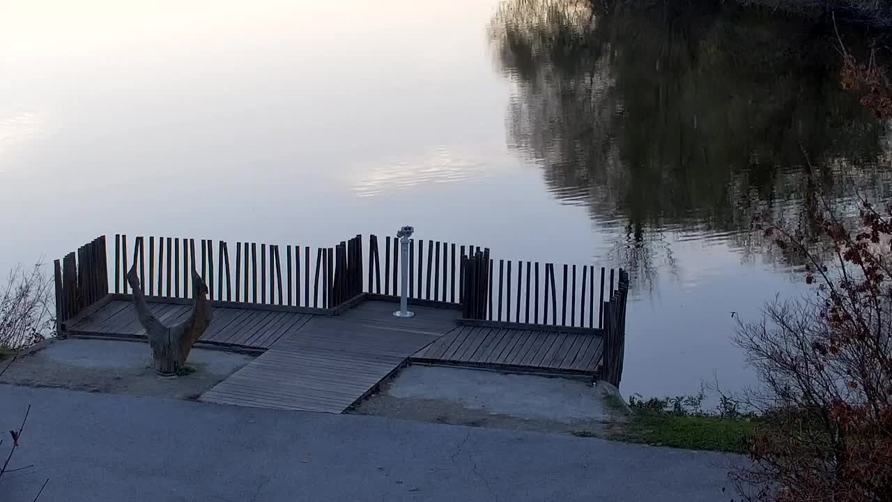 Spletna kamera Ribnik Vrbje – Žalec