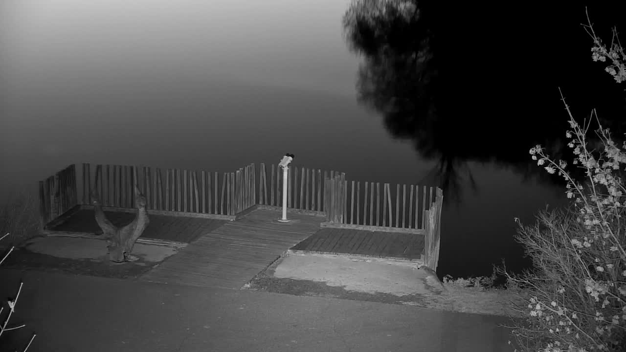 Web kamera Ribnik Vrbje – Žalec