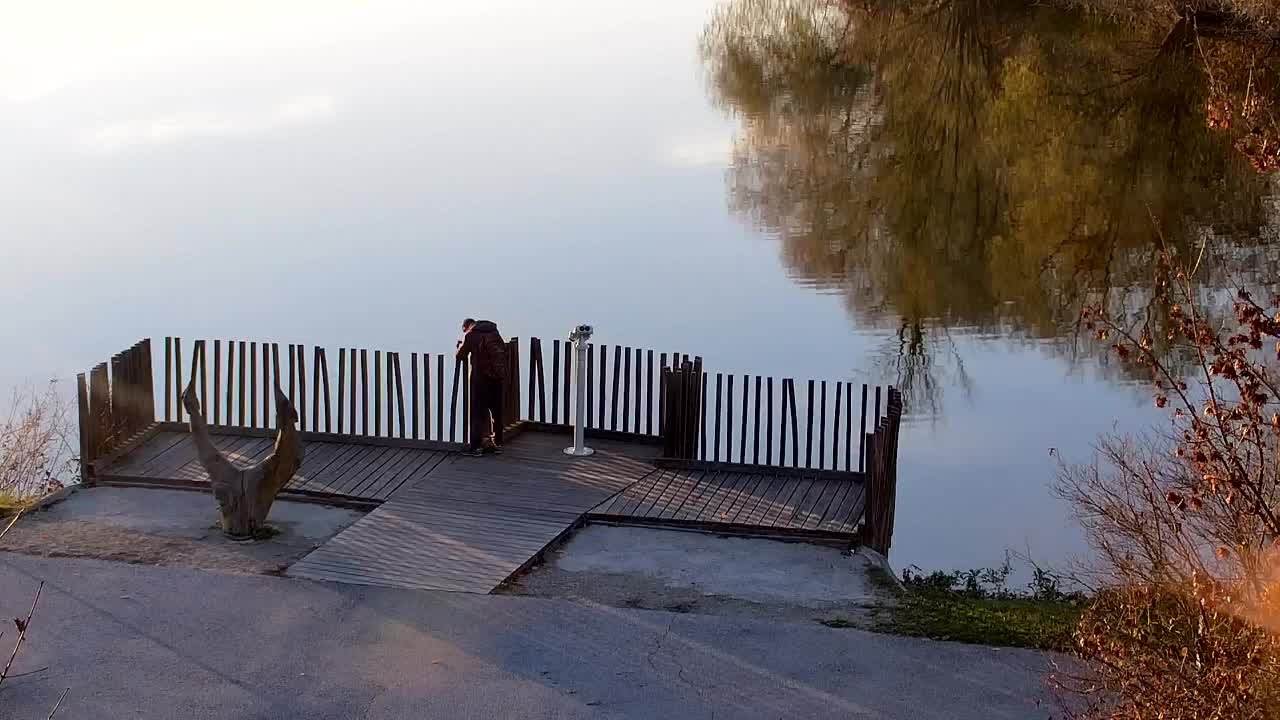 Webcam Ribnik Vrbje – Žalec