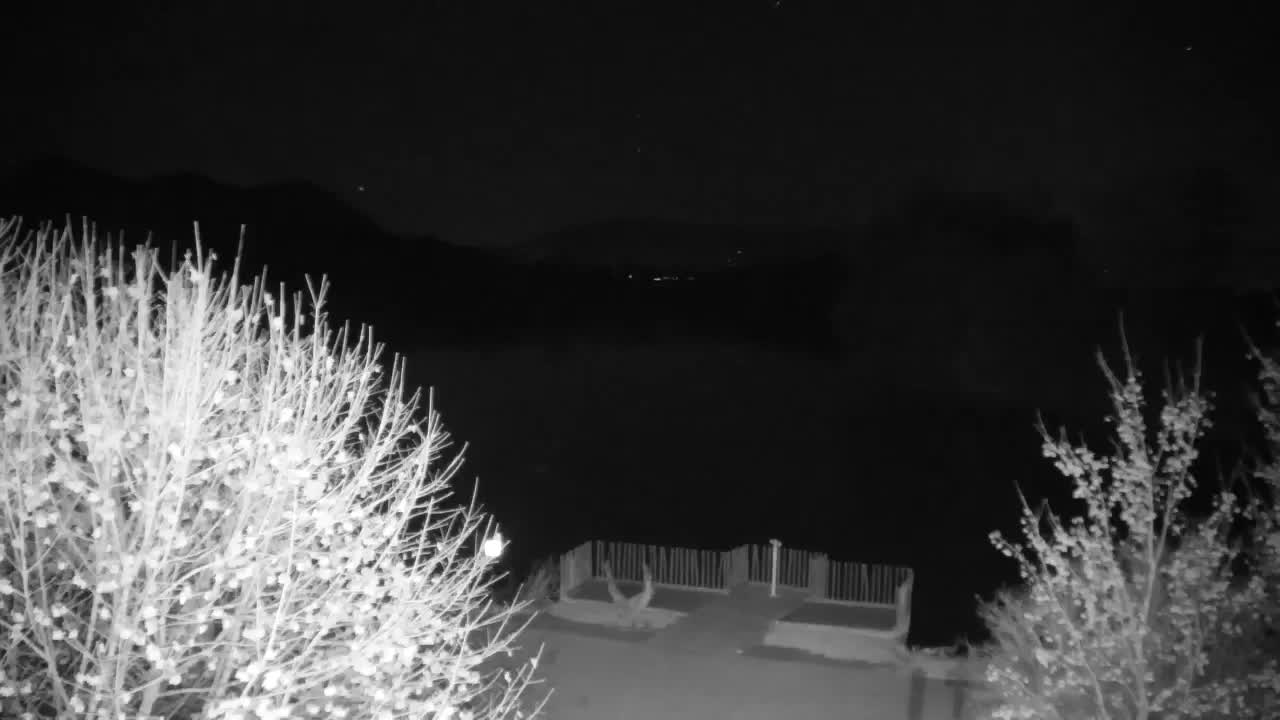 Web kamera Ribnik Vrbje – Žalec