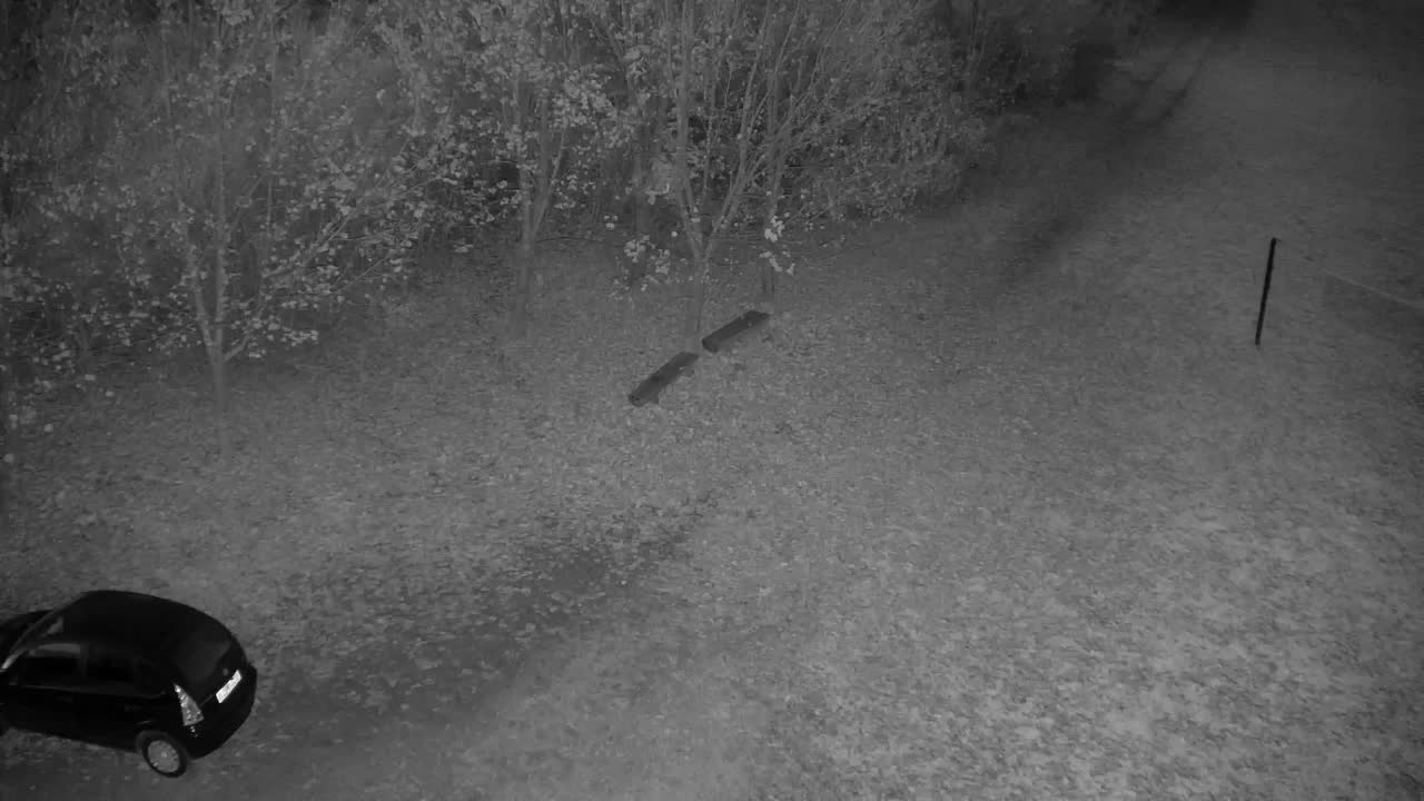 Webcam Ribnik Vrbje – Žalec