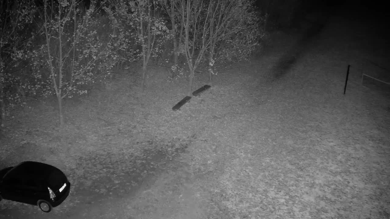 Web kamera Ribnik Vrbje – Žalec