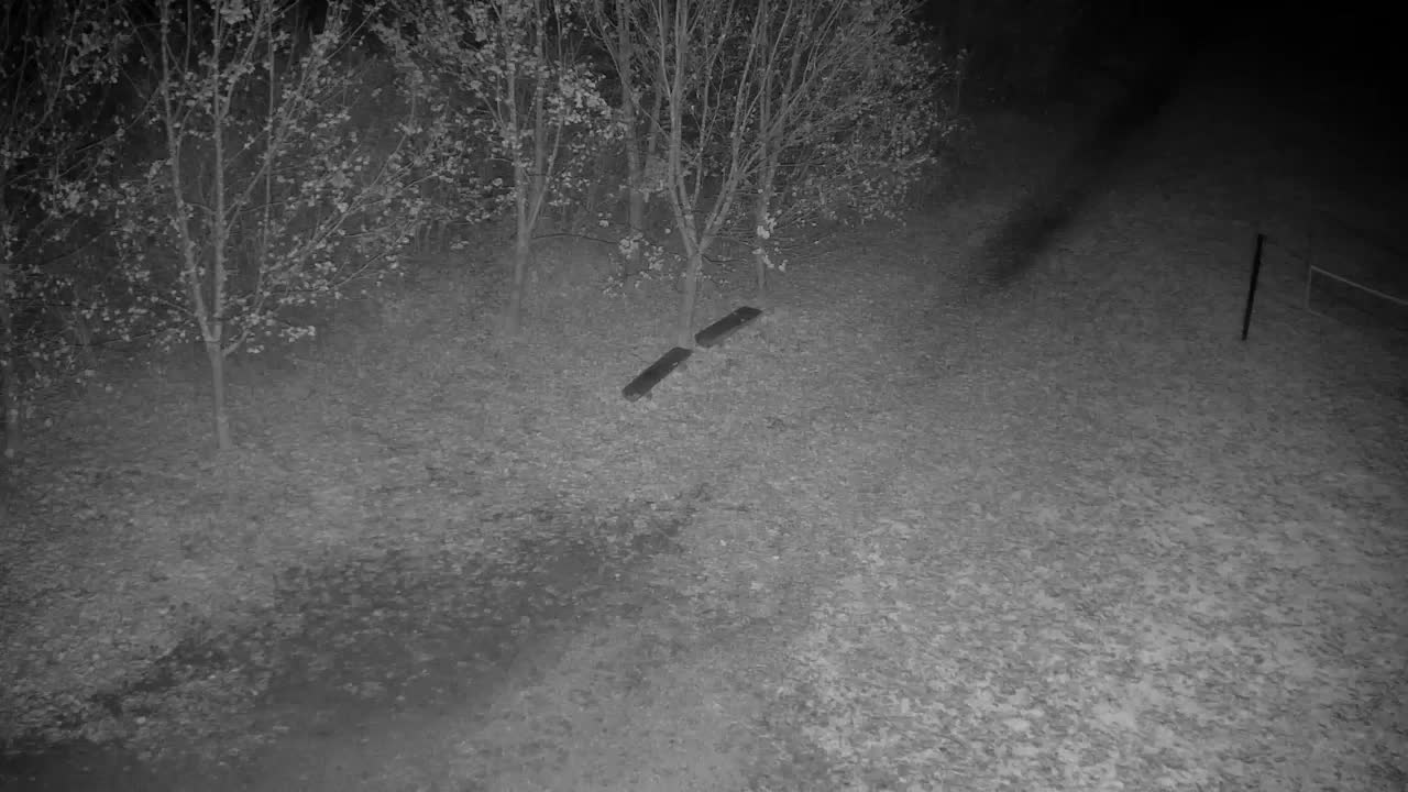 Webcam Ribnik Vrbje – Žalec