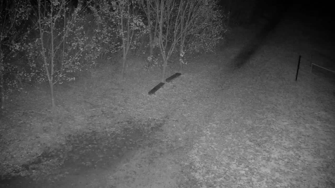 Spletna kamera Ribnik Vrbje – Žalec