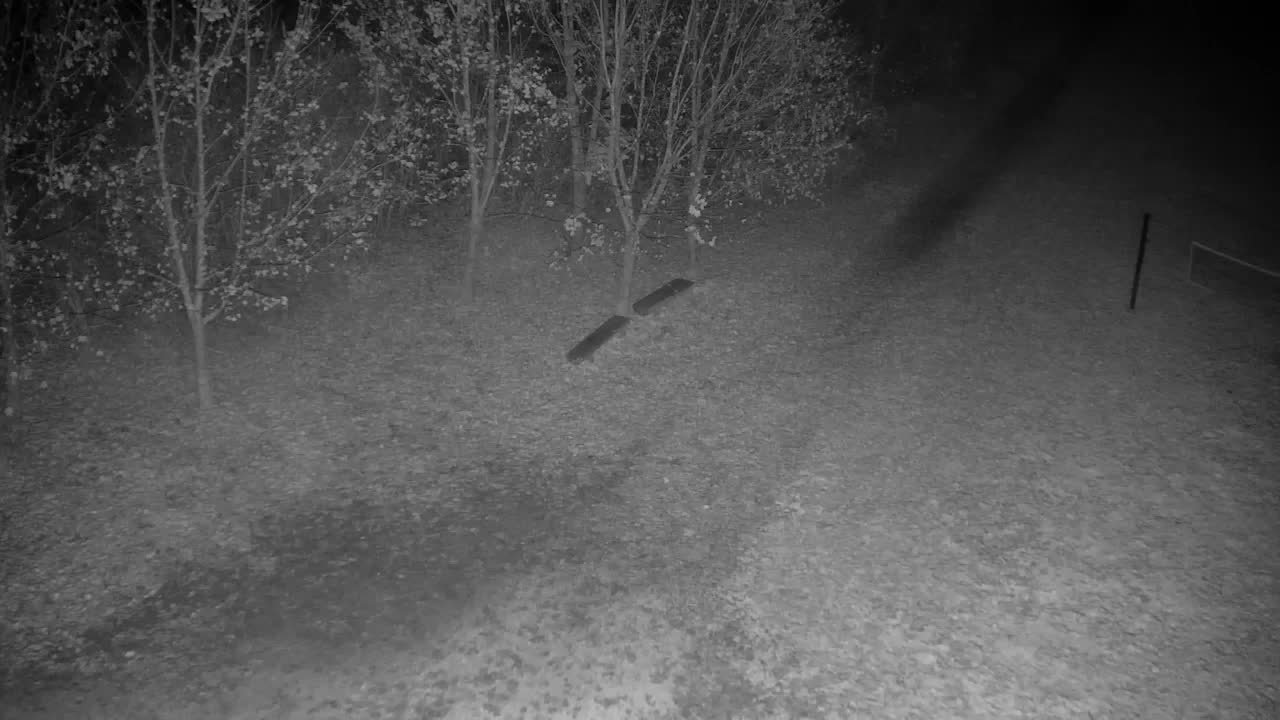 Webcam Ribnik Vrbje – Žalec