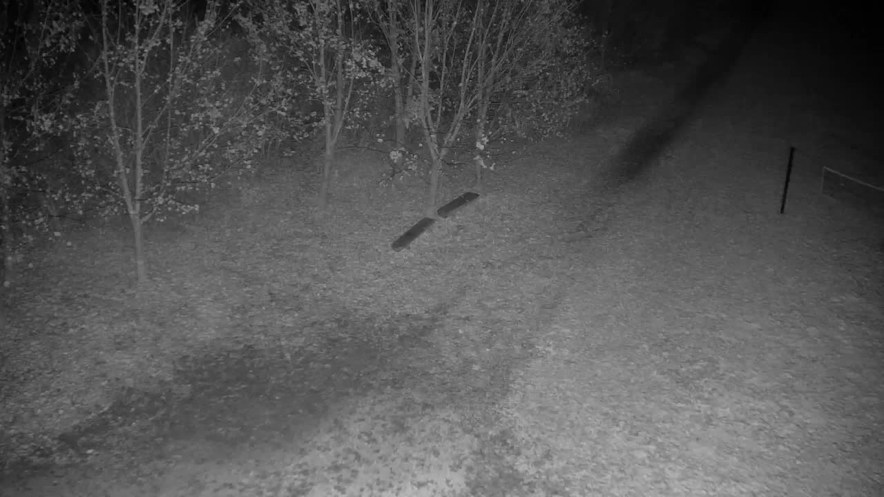 Spletna kamera Ribnik Vrbje – Žalec