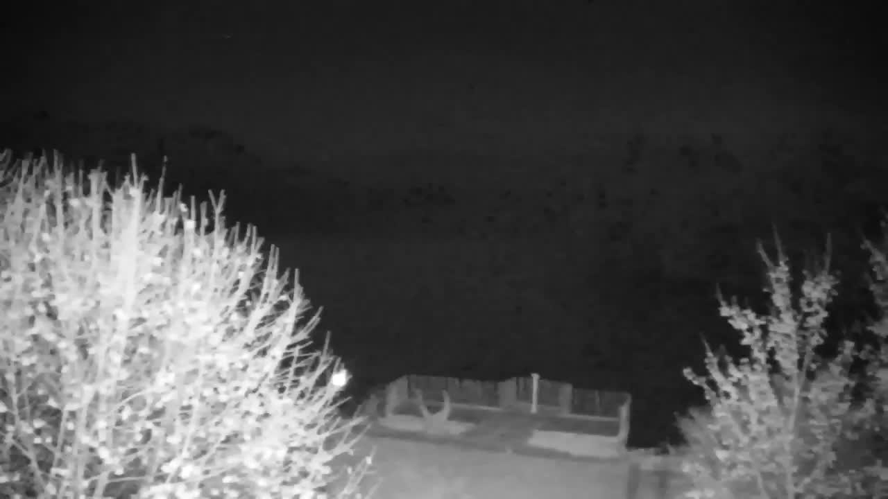 Spletna kamera Ribnik Vrbje – Žalec