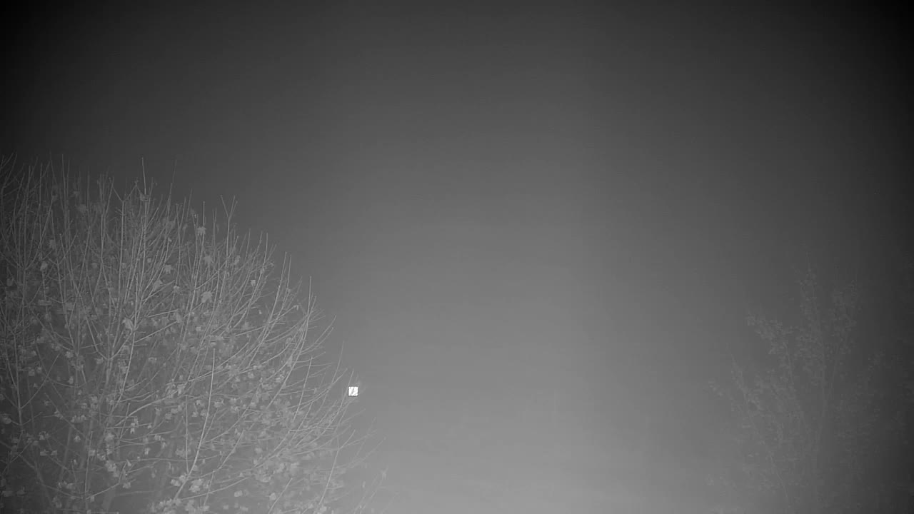 Webcam Ribnik Vrbje – Žalec