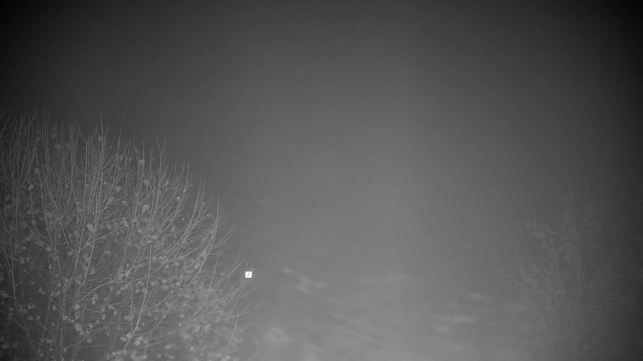 Webcam Ribnik Vrbje – Žalec