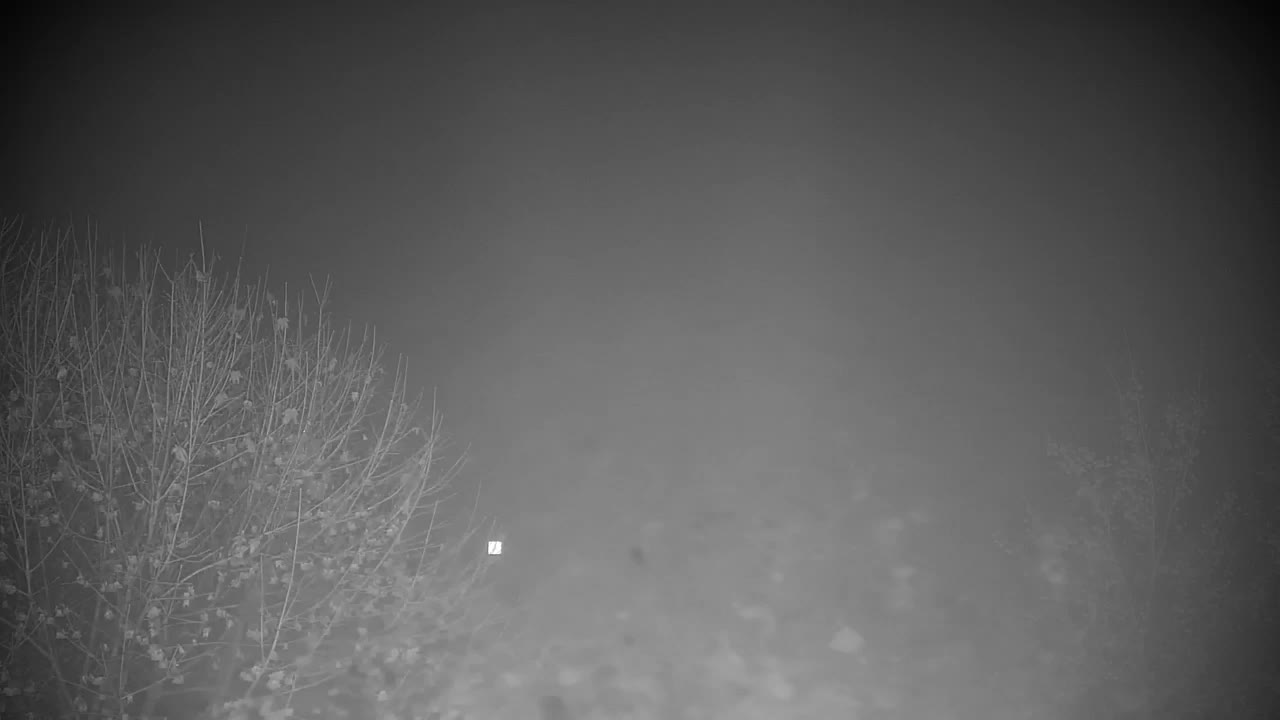 Webcam Ribnik Vrbje – Žalec