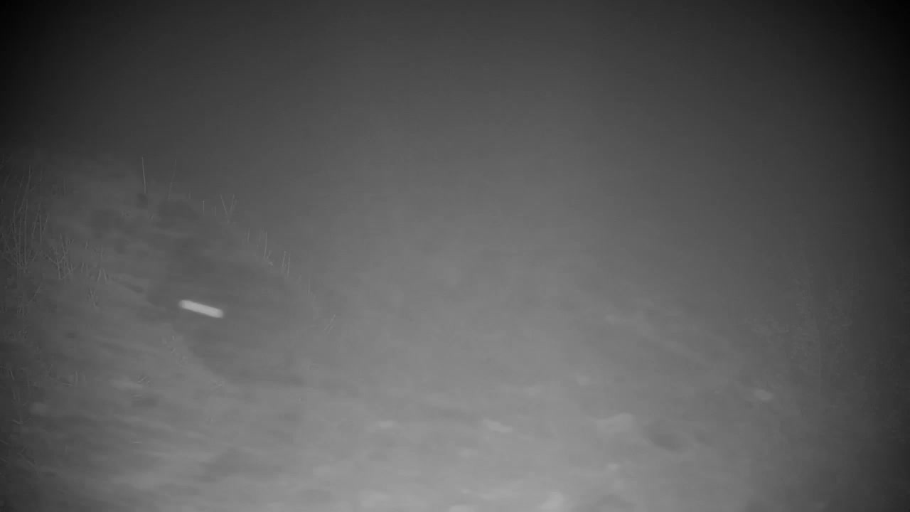 Webcam Ribnik Vrbje – Žalec