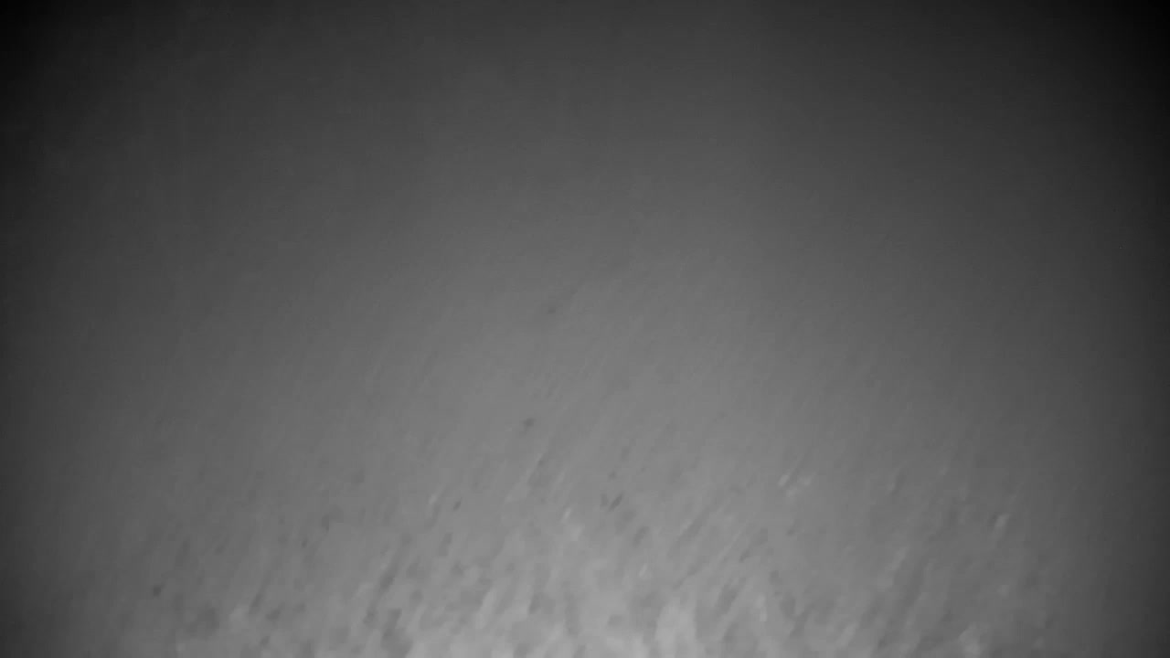 Webcam Ribnik Vrbje – Žalec