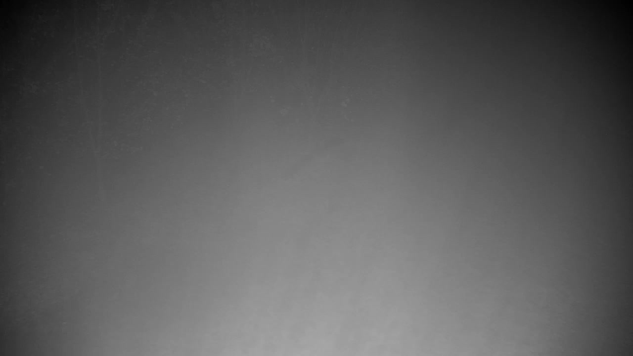 Spletna kamera Ribnik Vrbje – Žalec