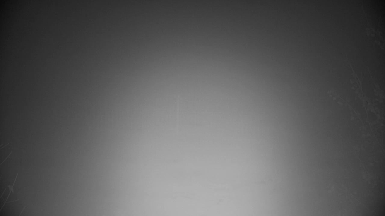 Webcam Ribnik Vrbje – Žalec