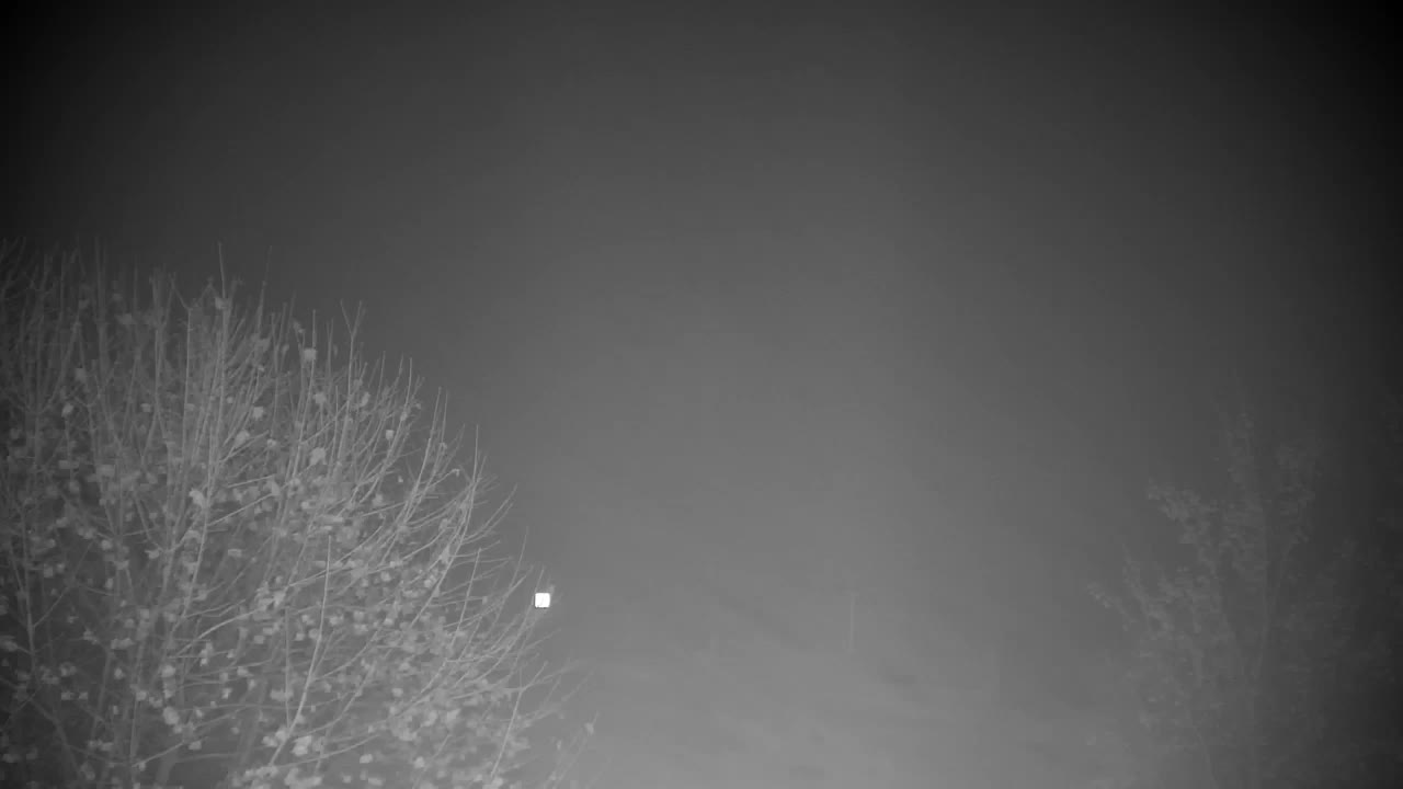 Webcam Ribnik Vrbje – Žalec