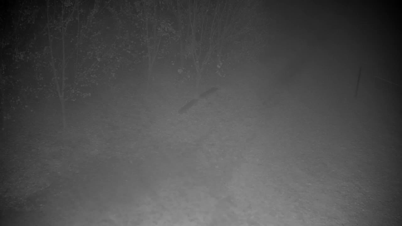 Webcam Ribnik Vrbje – Žalec