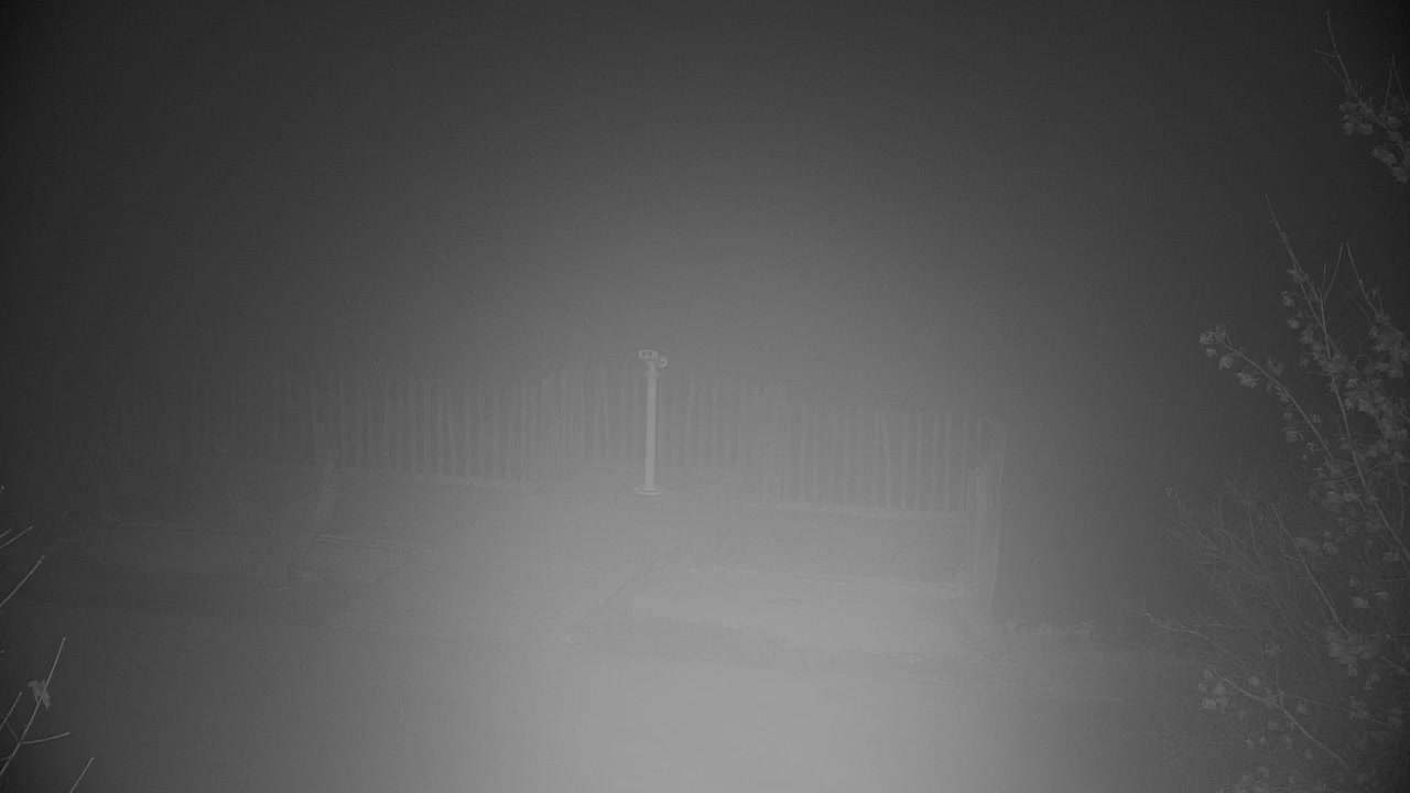 Webcam Ribnik Vrbje – Žalec