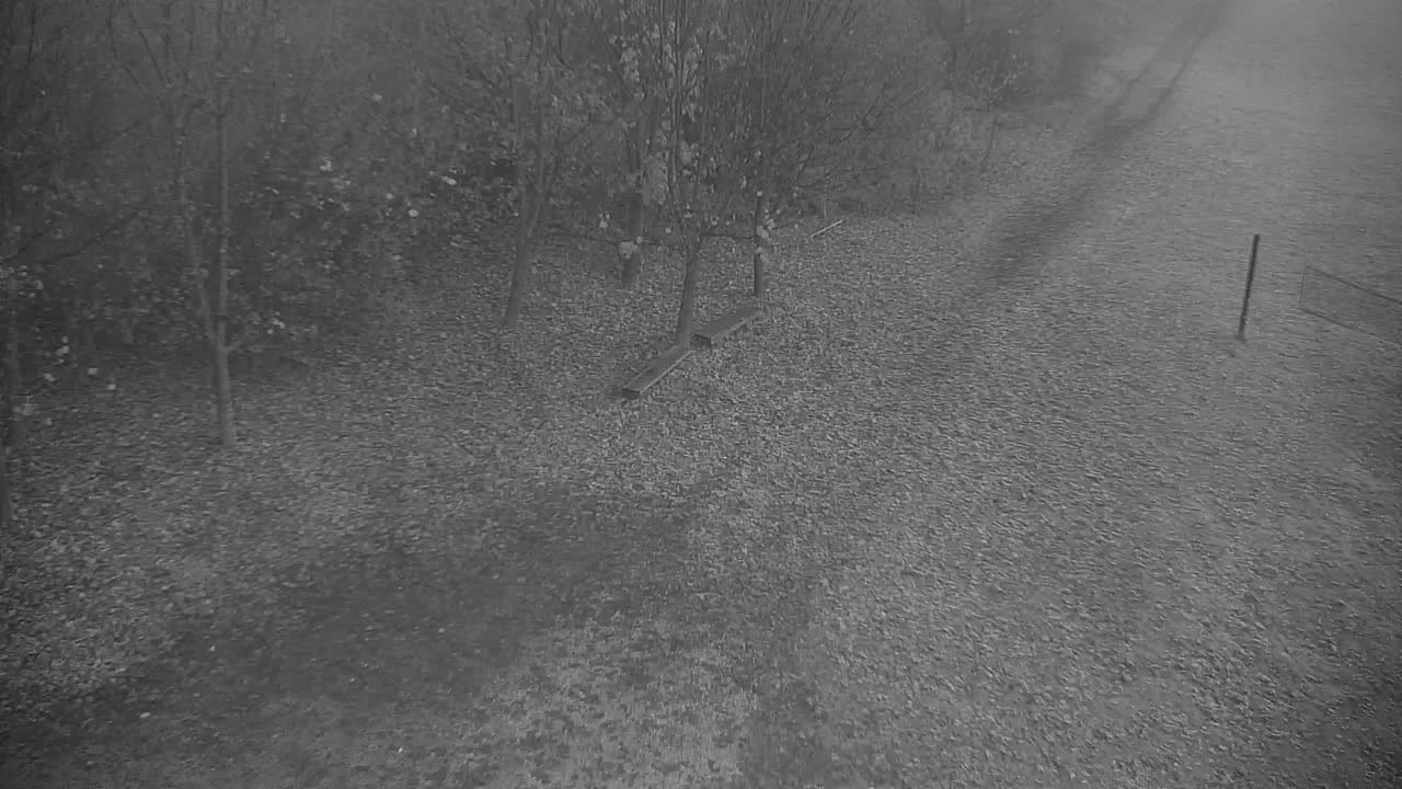 Webcam Ribnik Vrbje – Žalec