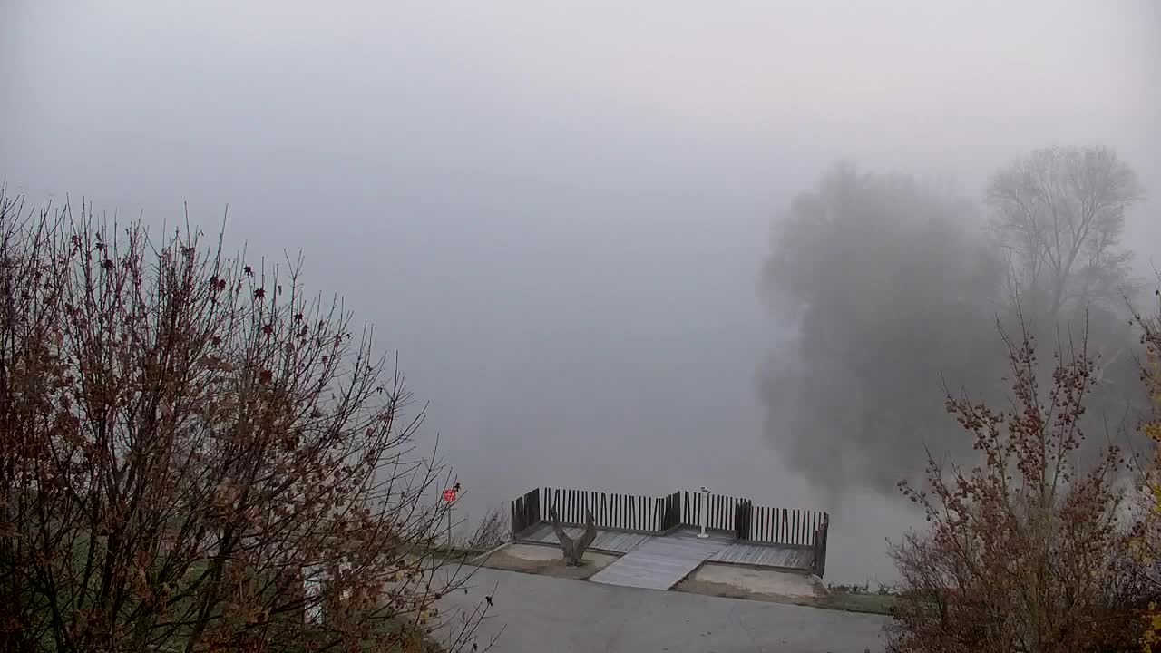 Spletna kamera Ribnik Vrbje – Žalec