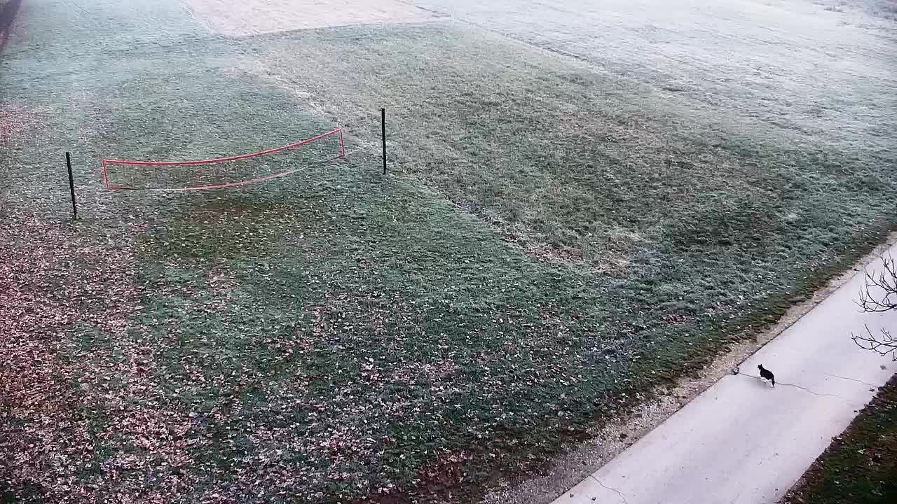 Webcam Ribnik Vrbje – Žalec