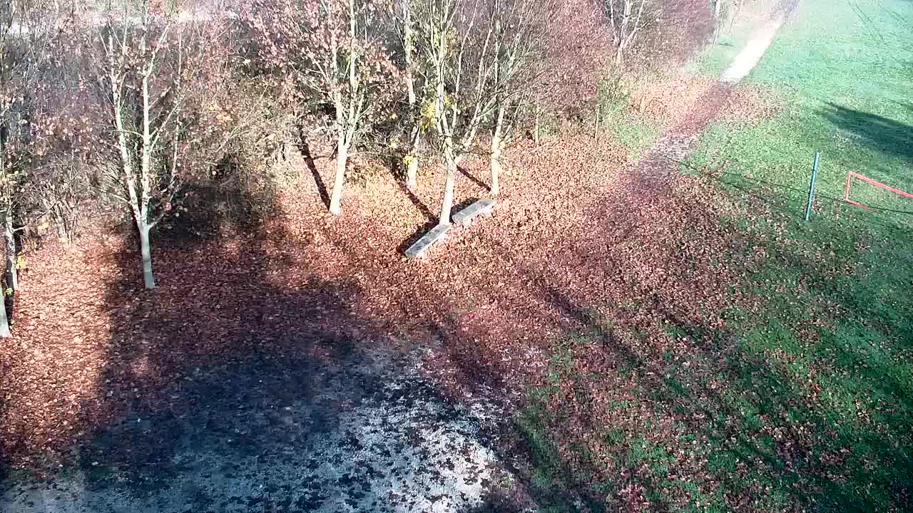 Webcam Ribnik Vrbje – Žalec