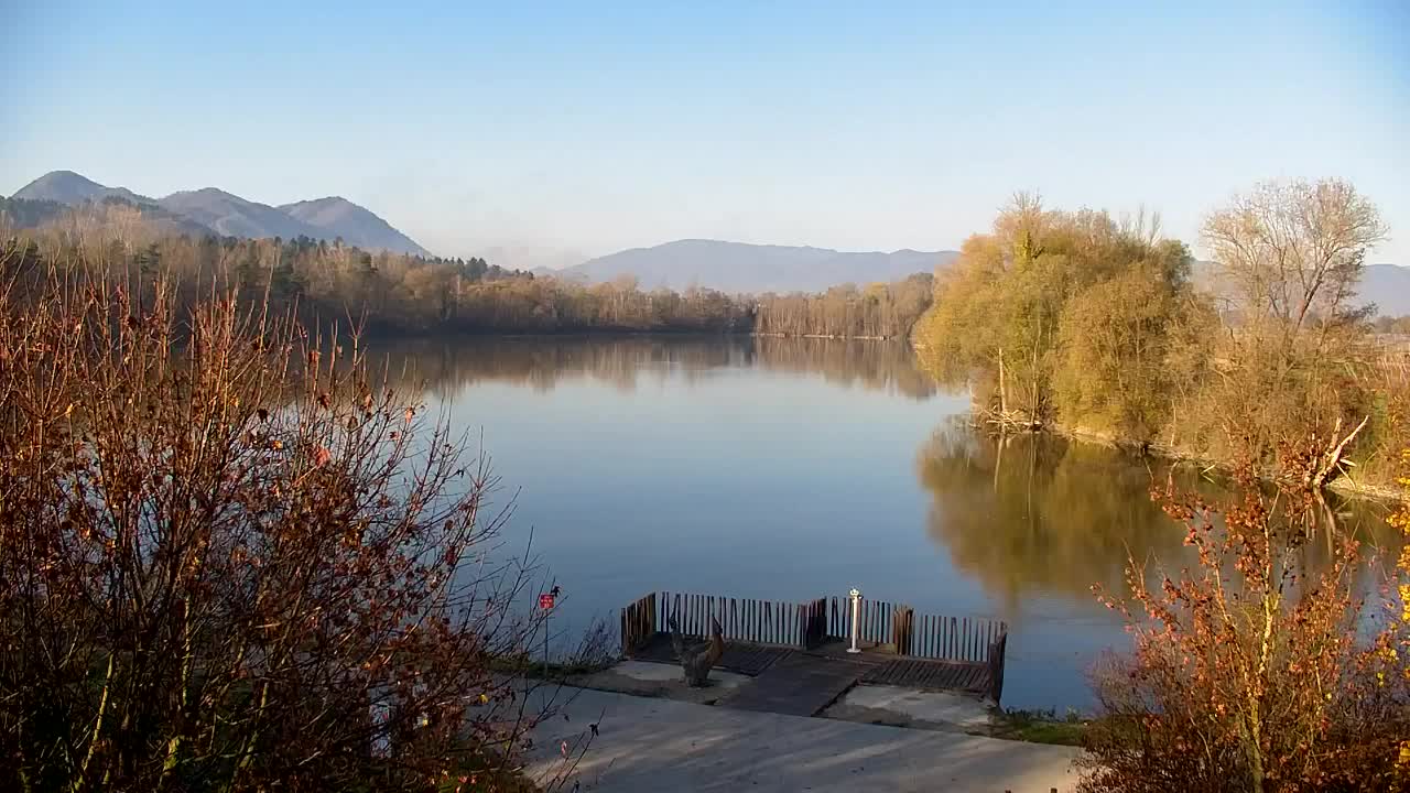 Spletna kamera Ribnik Vrbje – Žalec