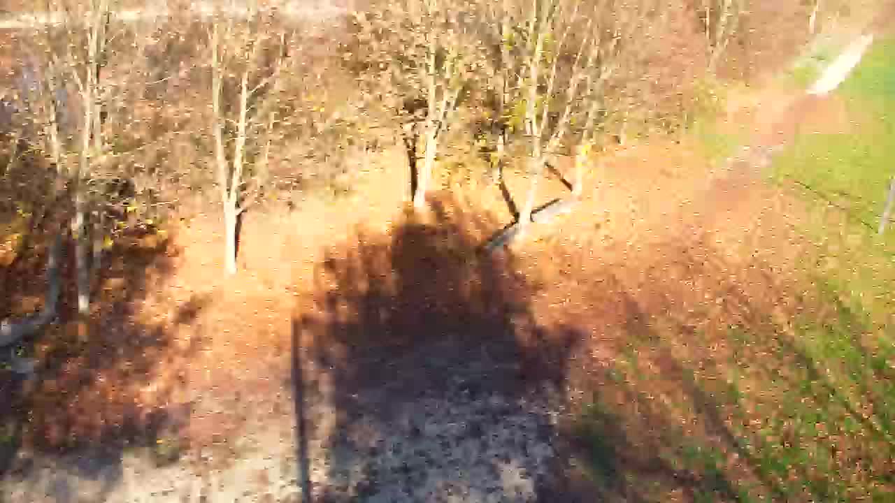 Webcam Ribnik Vrbje – Žalec