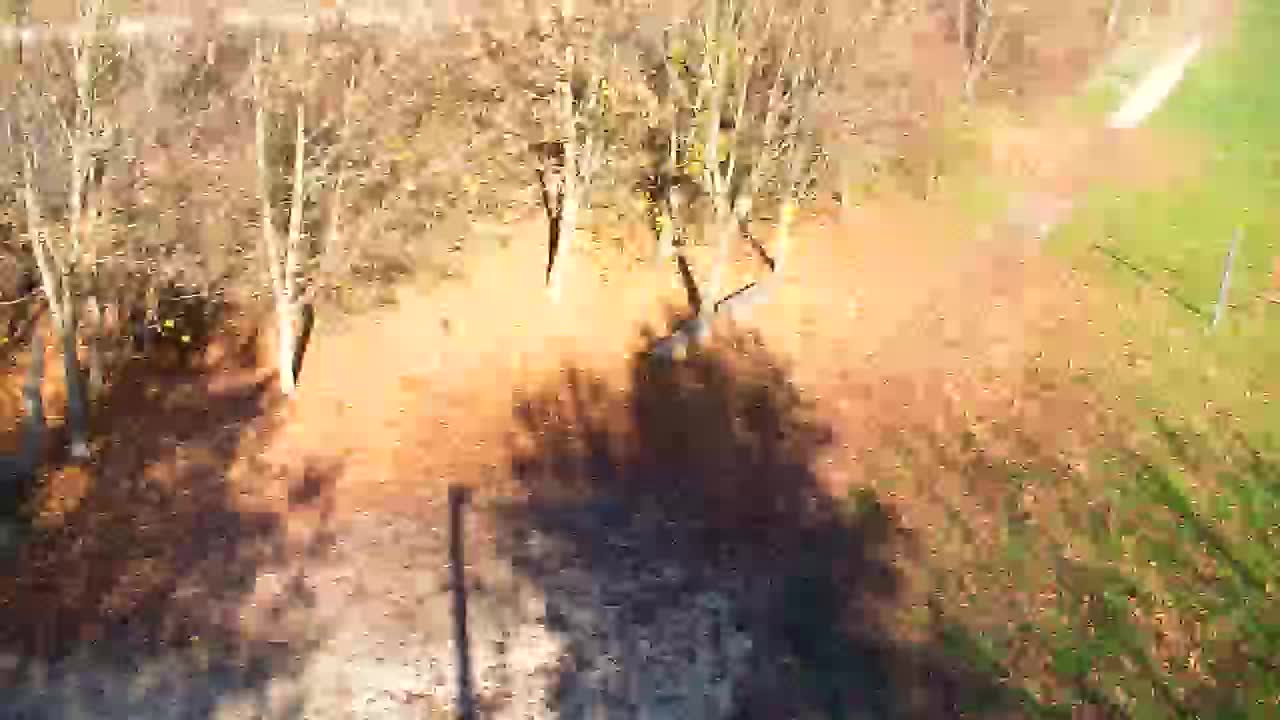 Webcam Ribnik Vrbje – Žalec