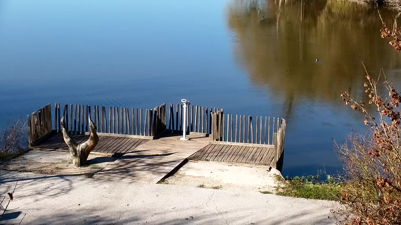 Webcam Ribnik Vrbje – Žalec