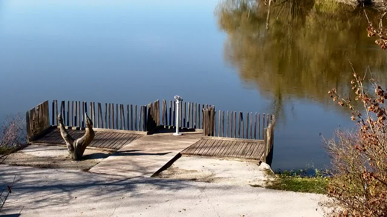 Webcam Ribnik Vrbje – Žalec