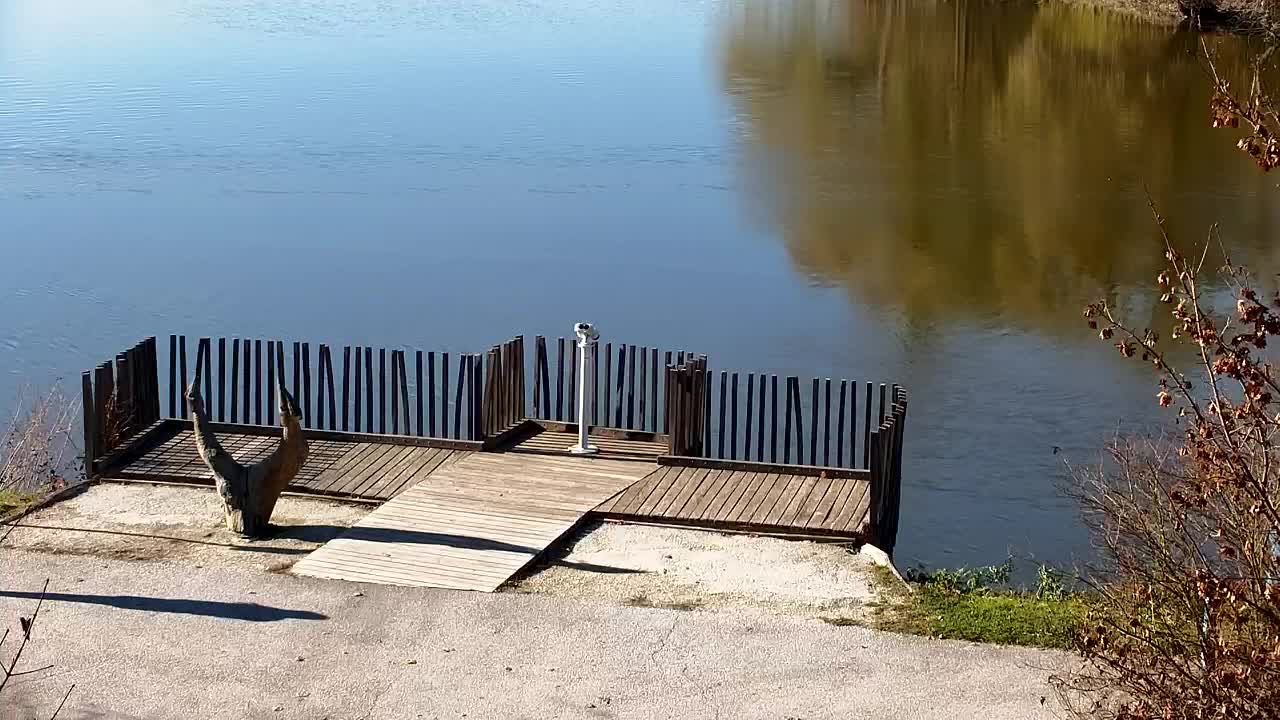 Web kamera Ribnik Vrbje – Žalec