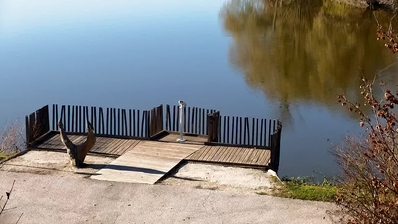 Webcam Ribnik Vrbje – Žalec