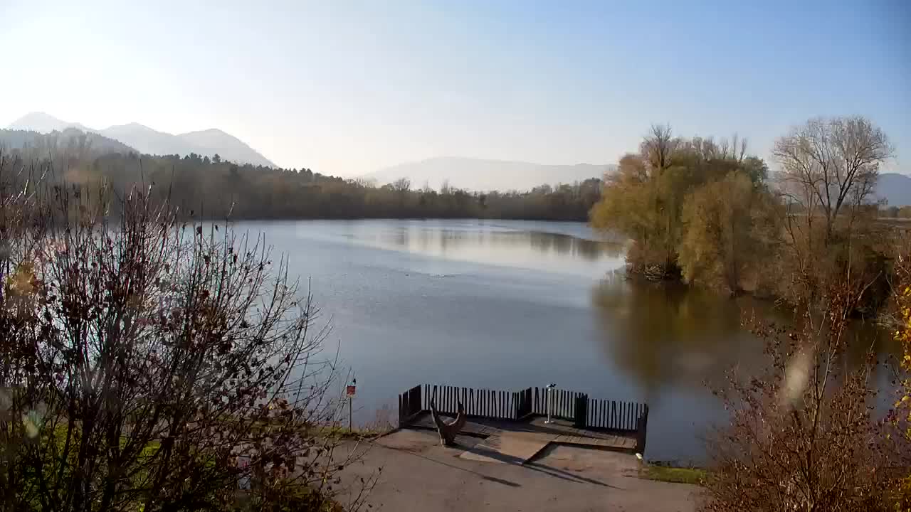 Web kamera Ribnik Vrbje – Žalec