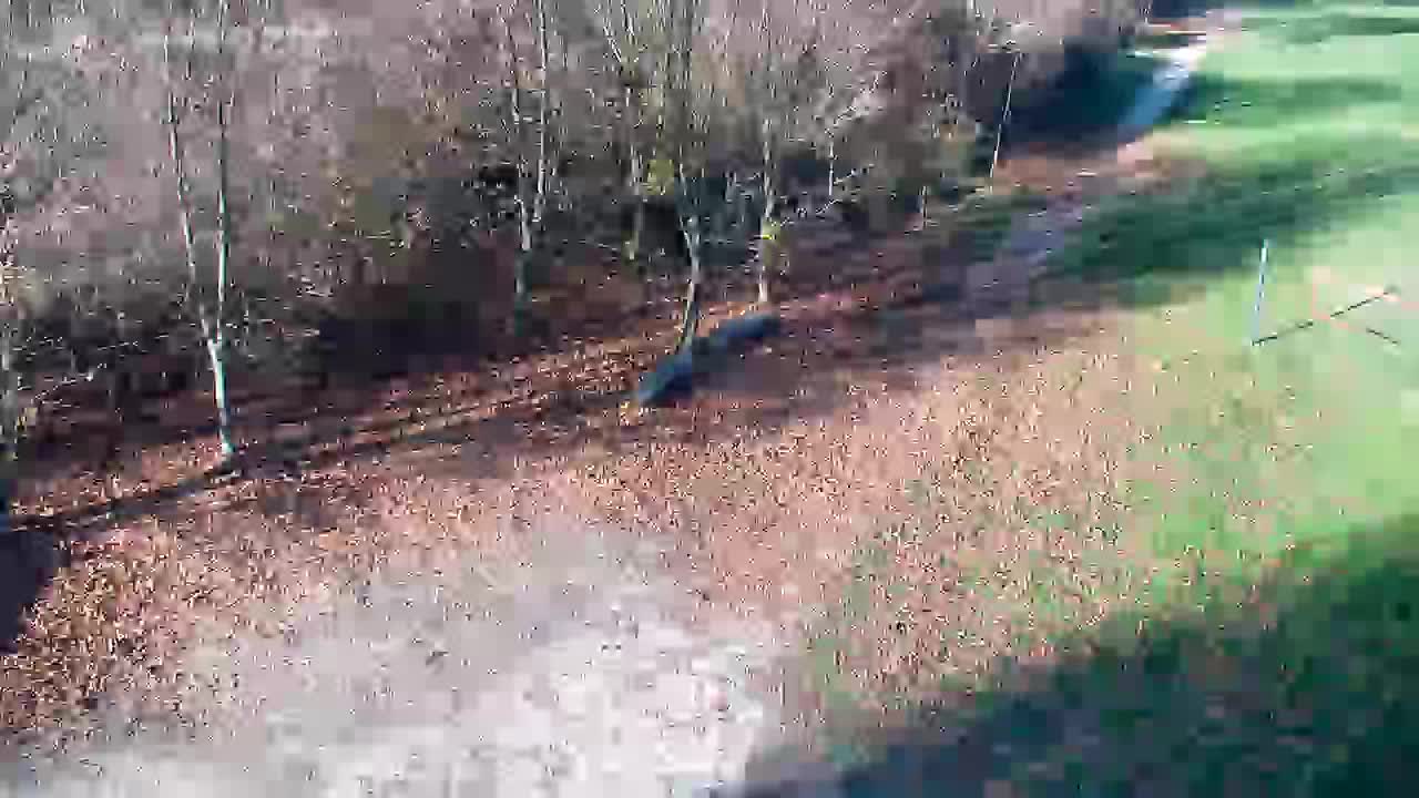 Webcam Ribnik Vrbje – Žalec