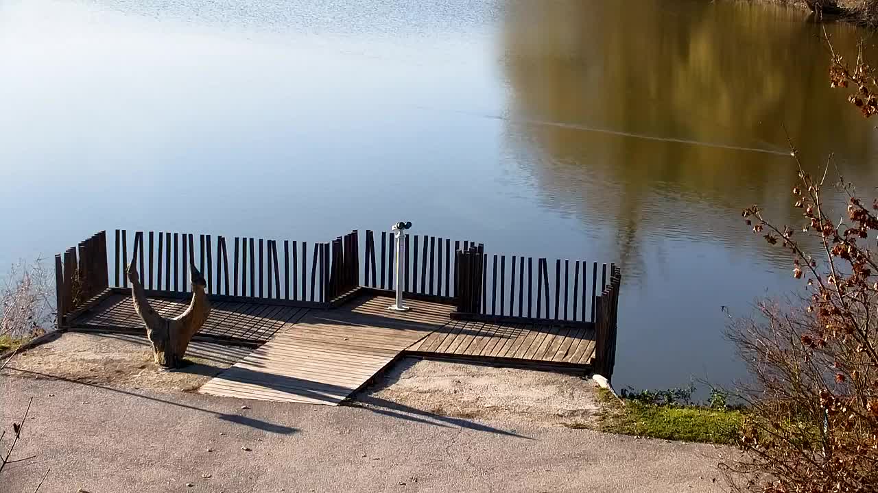 Webcam Ribnik Vrbje – Žalec