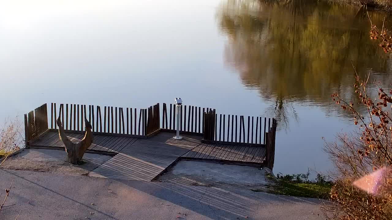 Web kamera Ribnik Vrbje – Žalec