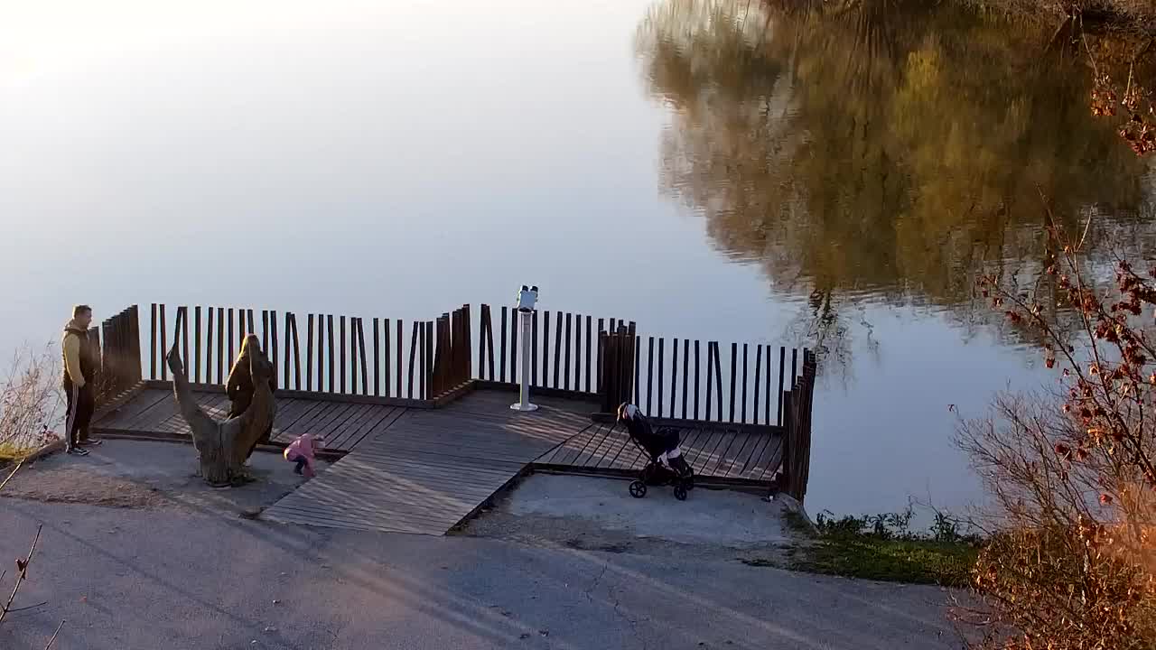 Spletna kamera Ribnik Vrbje – Žalec